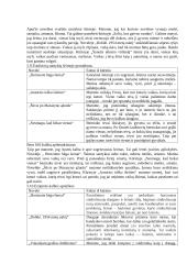 J. Apučio kūrybos apibendrinimas 9 puslapis