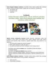 Ugdymo situacijų moderavimas ir dialoginis ugdymas 5 puslapis