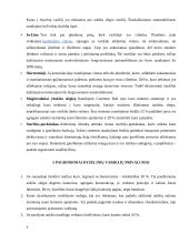 Dyzeliniai varikliai. Referatas 4 puslapis