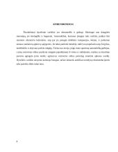 Dyzeliniai varikliai. Referatas 8 puslapis