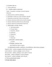 Paraiška projekto paramai: 2-3 klasių mokinių kūrybinio darbo stovykla 3 puslapis