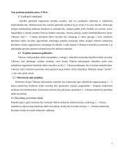 Paraiška projekto paramai: 2-3 klasių mokinių kūrybinio darbo stovykla 7 puslapis