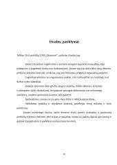 Logistikos studijų pažintinės praktikos ataskaita 19 puslapis