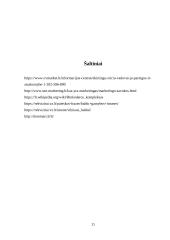 Logistikos studijų pažintinės praktikos ataskaita 20 puslapis