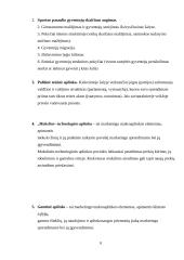 Logistikos studijų pažintinės praktikos ataskaita 7 puslapis