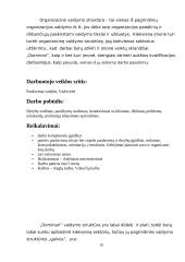 Logistikos studijų pažintinės praktikos ataskaita 9 puslapis