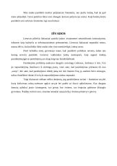 Pasitikėjimo problemos analizė 6 puslapis