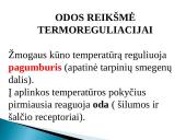 Skaidrės apie odą 3 puslapis