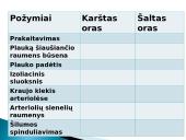 Skaidrės apie odą 5 puslapis