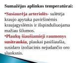 Skaidrės apie odą 6 puslapis