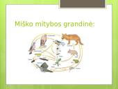 Miško ekosistema 10 puslapis