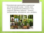 Miško ekosistema 2 puslapis