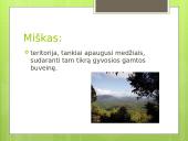 Miško ekosistema 6 puslapis