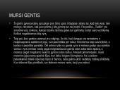 Afrikos Gentys 3 puslapis