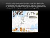 Gintaro kelias 6 puslapis