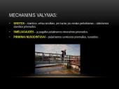 Vandens tarša pasaulyje 12 puslapis