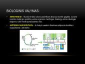 Vandens tarša pasaulyje 13 puslapis