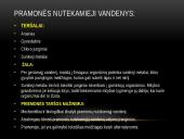 Vandens tarša pasaulyje 7 puslapis