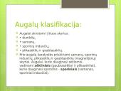 Augalų karalystė (skaidrės) 6 puslapis