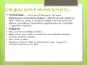 Augalų karalystė (skaidrės) 7 puslapis