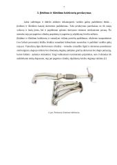 Variklių galios didinimas 6 puslapis