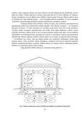 Aplinkos kokybės valdymas. Radiacinė sauga. Branduolinė energetika 9 puslapis