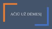 Gyventojų pajamų mokesčio reikšmė valstybės finansų sistemai 13 puslapis