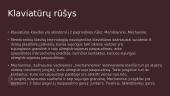 Klaviatūrų ir kompiuterinių pelių įvairovė 3 puslapis