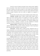 Pavyzdys - efektyvi auklėjimo priemonė 2 puslapis