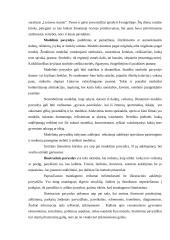 Pavyzdys - efektyvi auklėjimo priemonė 4 puslapis