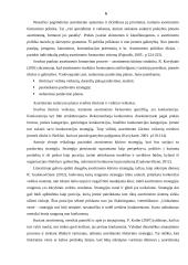 Konditerijos gaminių grupės įmonės asortimentas ir ypatumai 5 puslapis
