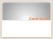 Gesintuvų klasifikacija