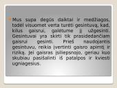 Gesintuvų klasifikacija 3 puslapis