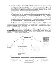 Įvairūs draudimai ir pensijų reforma Lietuvoje 3 puslapis