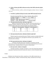 Mikroprocesorių laboratoriniai darbai  15 puslapis