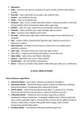 Geografijos konspektas. Hidrosfera 13 puslapis