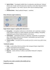 Geografijos konspektas. Hidrosfera 14 puslapis