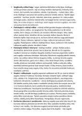 Geografijos konspektas. Hidrosfera 3 puslapis