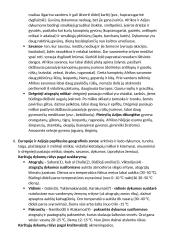 Geografijos konspektas. Hidrosfera 4 puslapis