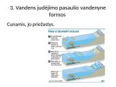 Pasaulio vandenynas. Skaidrės 8 puslapis