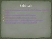 Pirmasis kryžiaus žygis. Skaidrės 10 puslapis