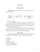 Personalo mokymo sistema: kazino 4 puslapis