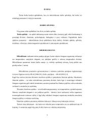 Mikroklimatas 2 puslapis