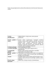 Personalo vadyba: UAB "Viskas namams" 4 puslapis