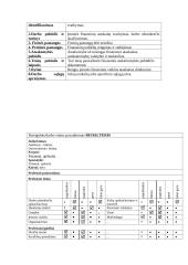 Personalo vadyba: UAB "Viskas namams" 6 puslapis