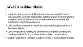 Informacijos teisė. „AGATA“ 4 puslapis