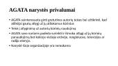 Informacijos teisė. „AGATA“ 6 puslapis