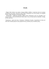 Piliečių teisinė padėtis Lietuvos Konstitucijose 7 puslapis