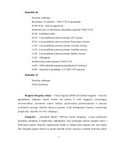 Skoniai. Konferencijų verslo projektas 6 puslapis