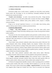 Viskas apie pinigus ir šiuolaikinius bankus 3 puslapis